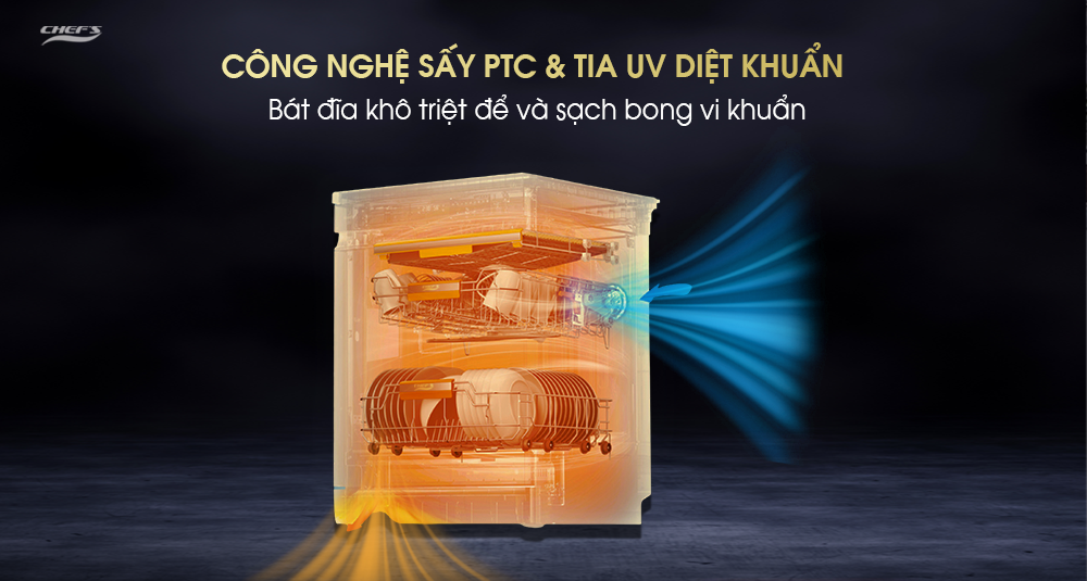 Khả năng diệt khuẩn và chống nấm mốc