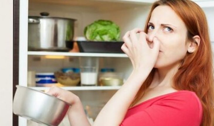 Mách bạn cách khử mùi hôi tủ lạnh