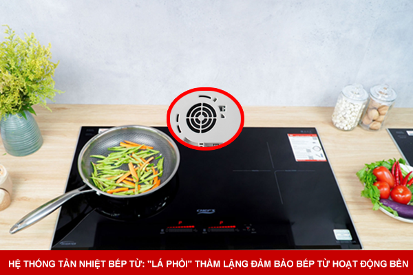 Hệ Thống Tản Nhiệt Bếp Từ: 